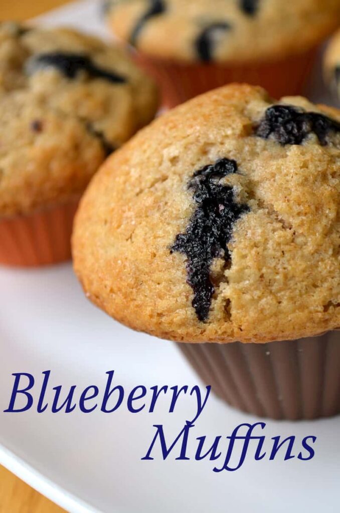 bluberry muffin
