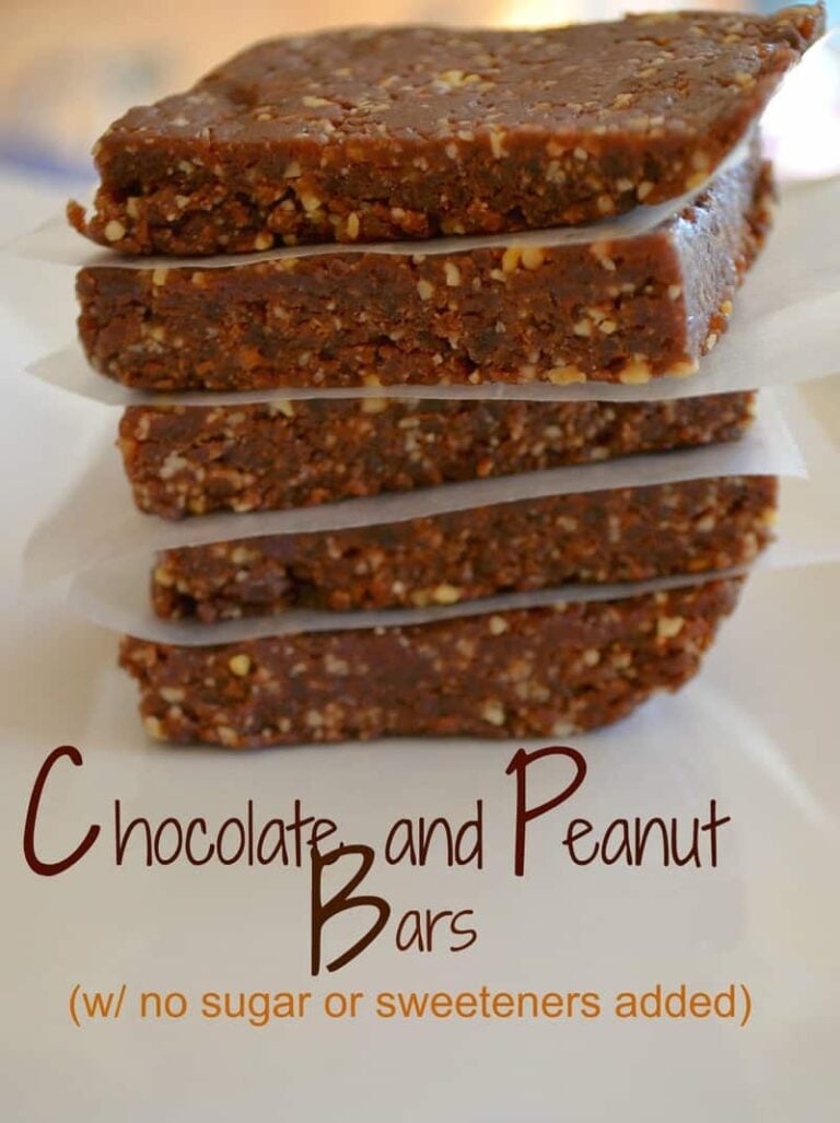 Chocolate & Peanut Lara Bars