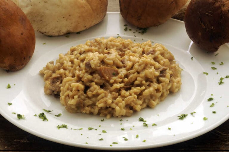 close up mushroom risotto