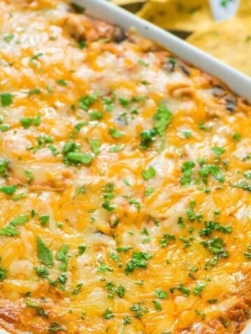 Cheesy chicken enchilada dip with tortilla chips