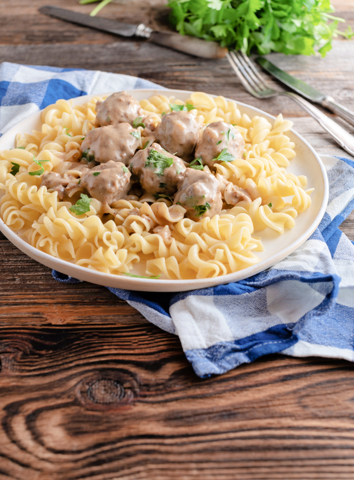 Swedish meatballs in an epic cream sauce over egg noodles