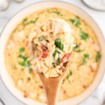 creamy parmesan orzo with chicken spinach and sundried tomatoes