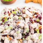 Leftover-turkey-cranberry-salad-1