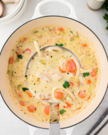 leftover turkey noodle soup