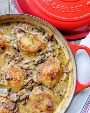 roasted chicken thighs in a creamy mushroom sauce
