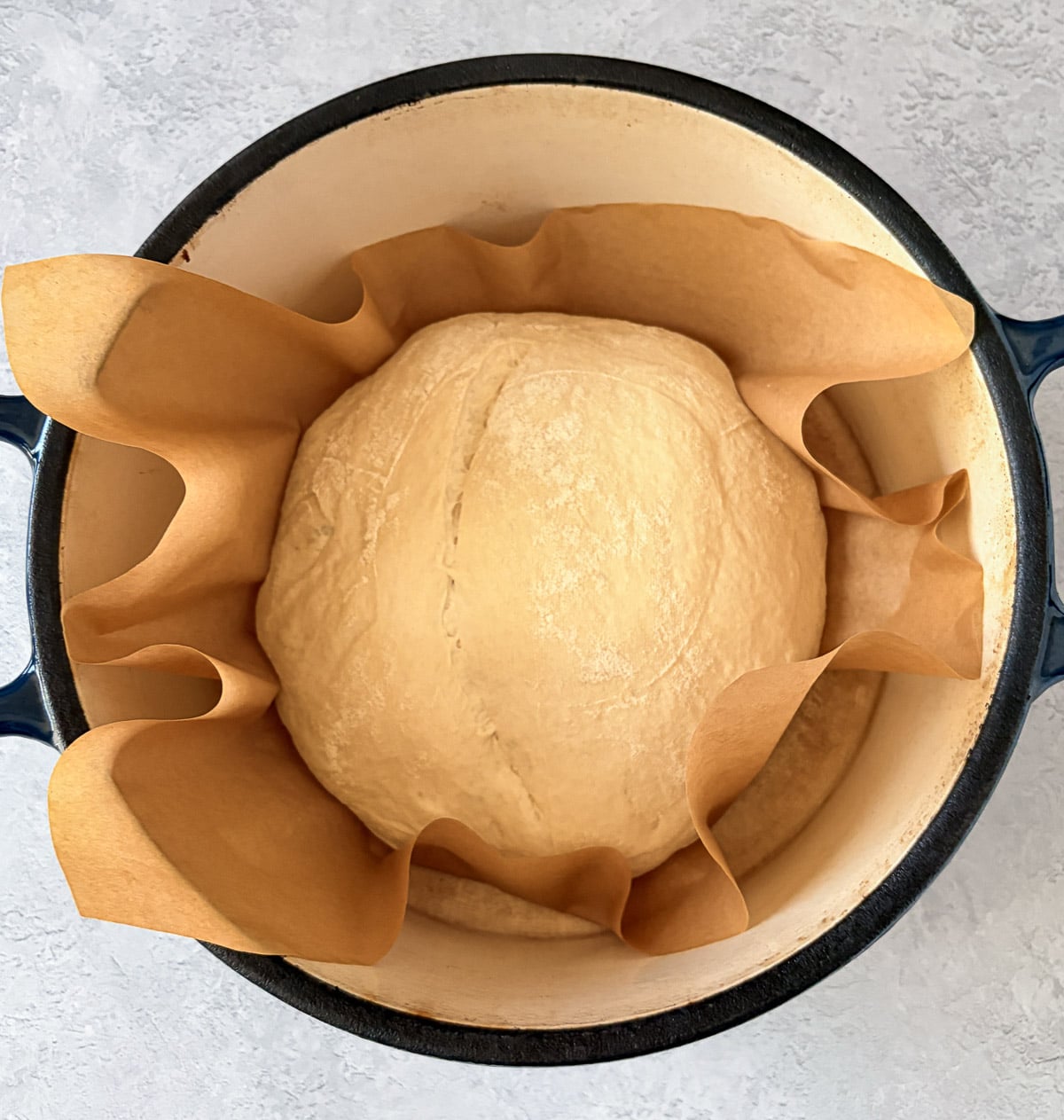 Uncooked sourdough in dutch oven with parchment paper