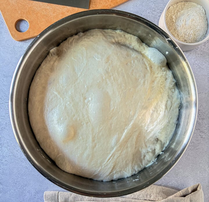 Sourdough bulk fermented dough in stainless steel bowl