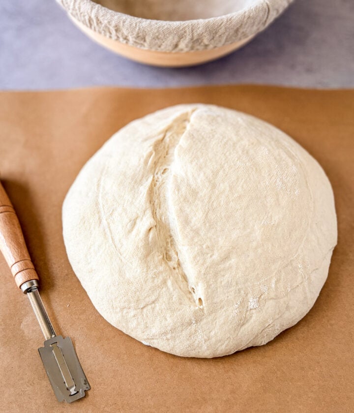 Uncooked sourdough scored ear on parchment paper with a lame